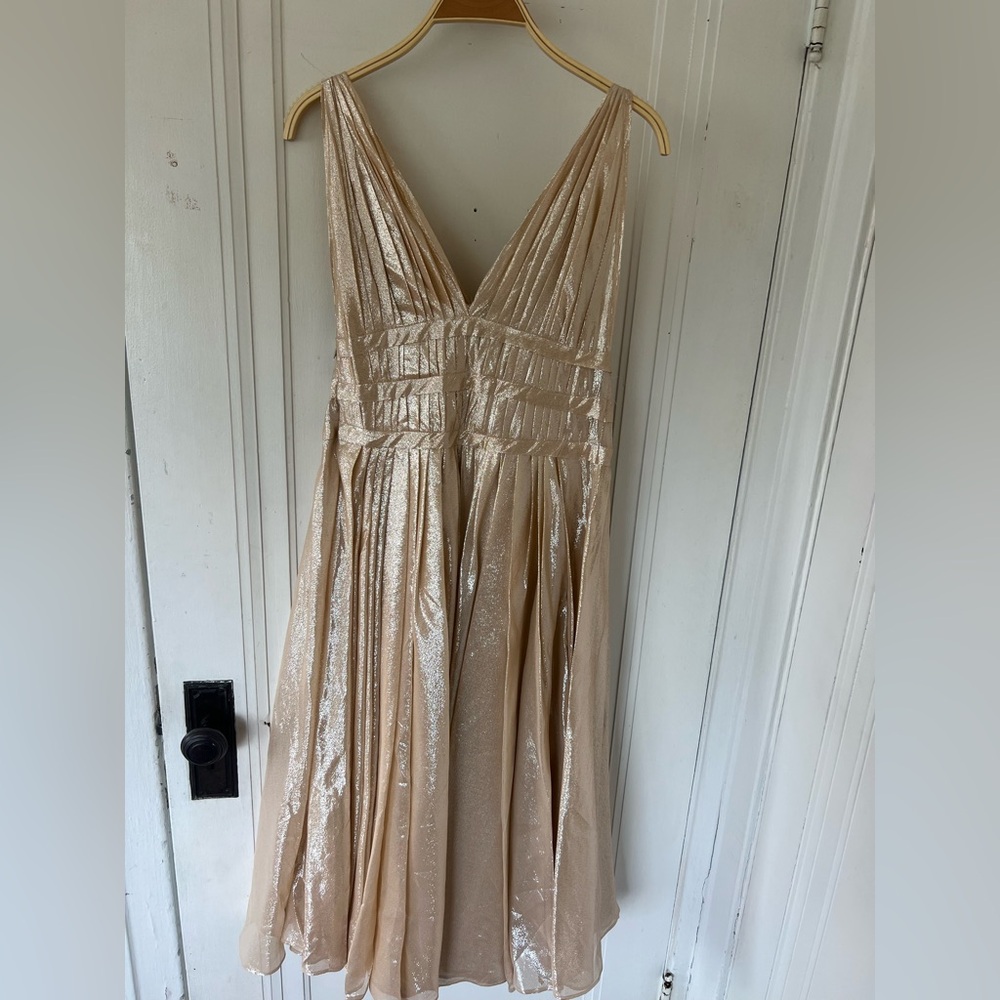 peter hildalgo size 12
golden/ sparkle dress